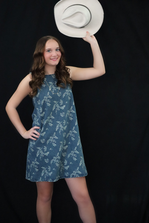 FAYE'S FLORAL DENIM DRESS – DENIM