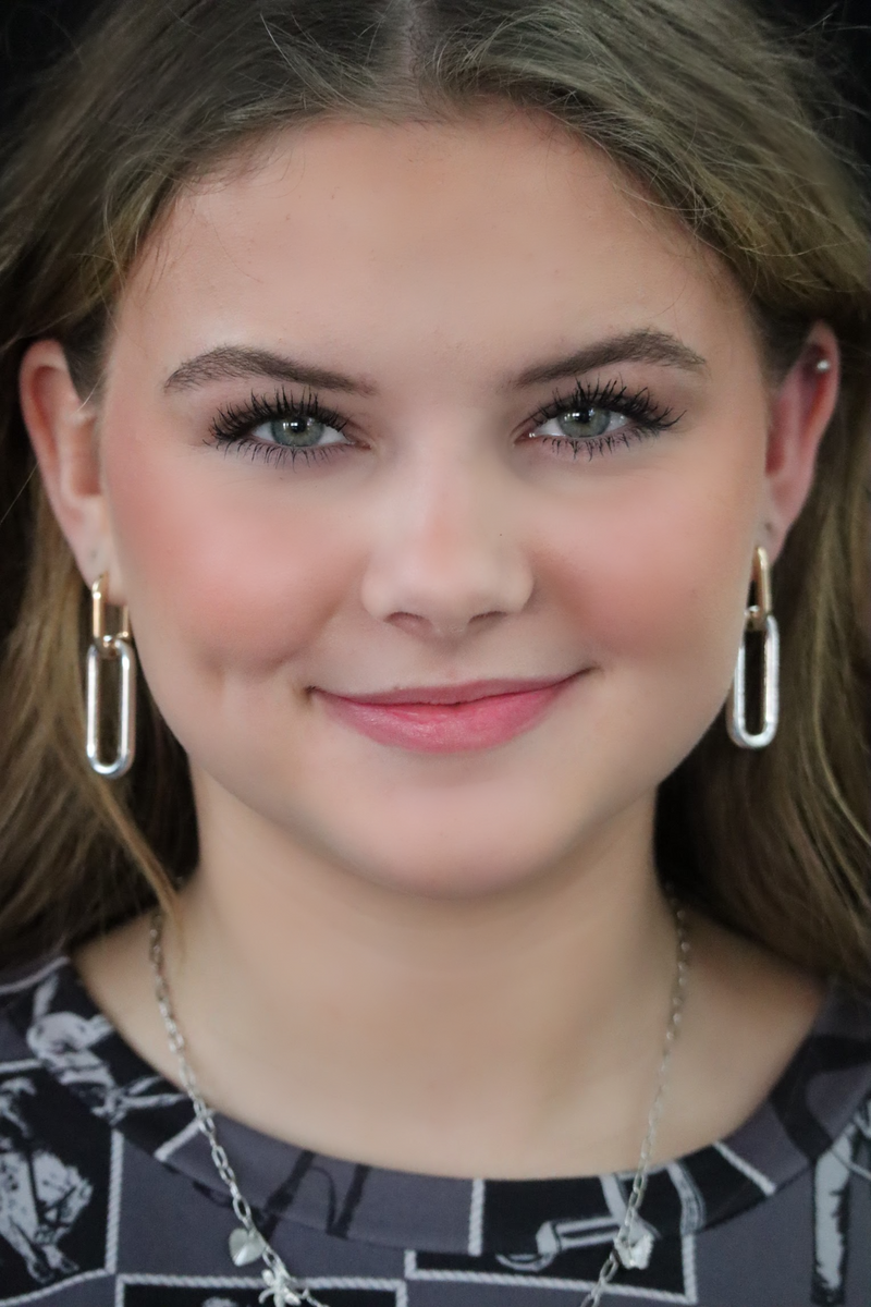 TARRA'S TWO LINK EARRINGS - GOLD / SILVER