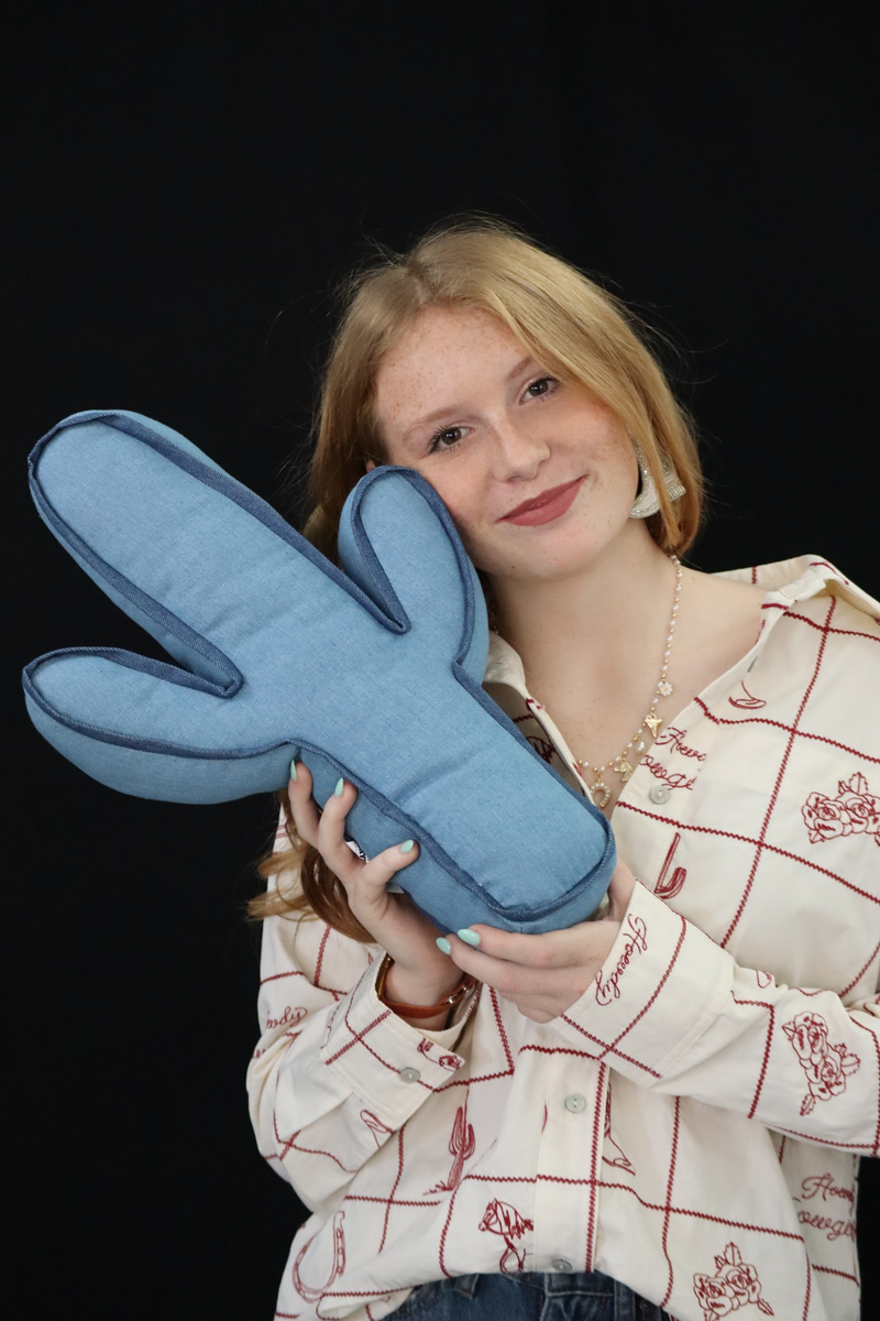 CAIRO'S CACTUS PILLOW - MULTI